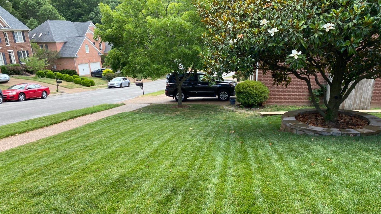 Front yard with fresh stripes