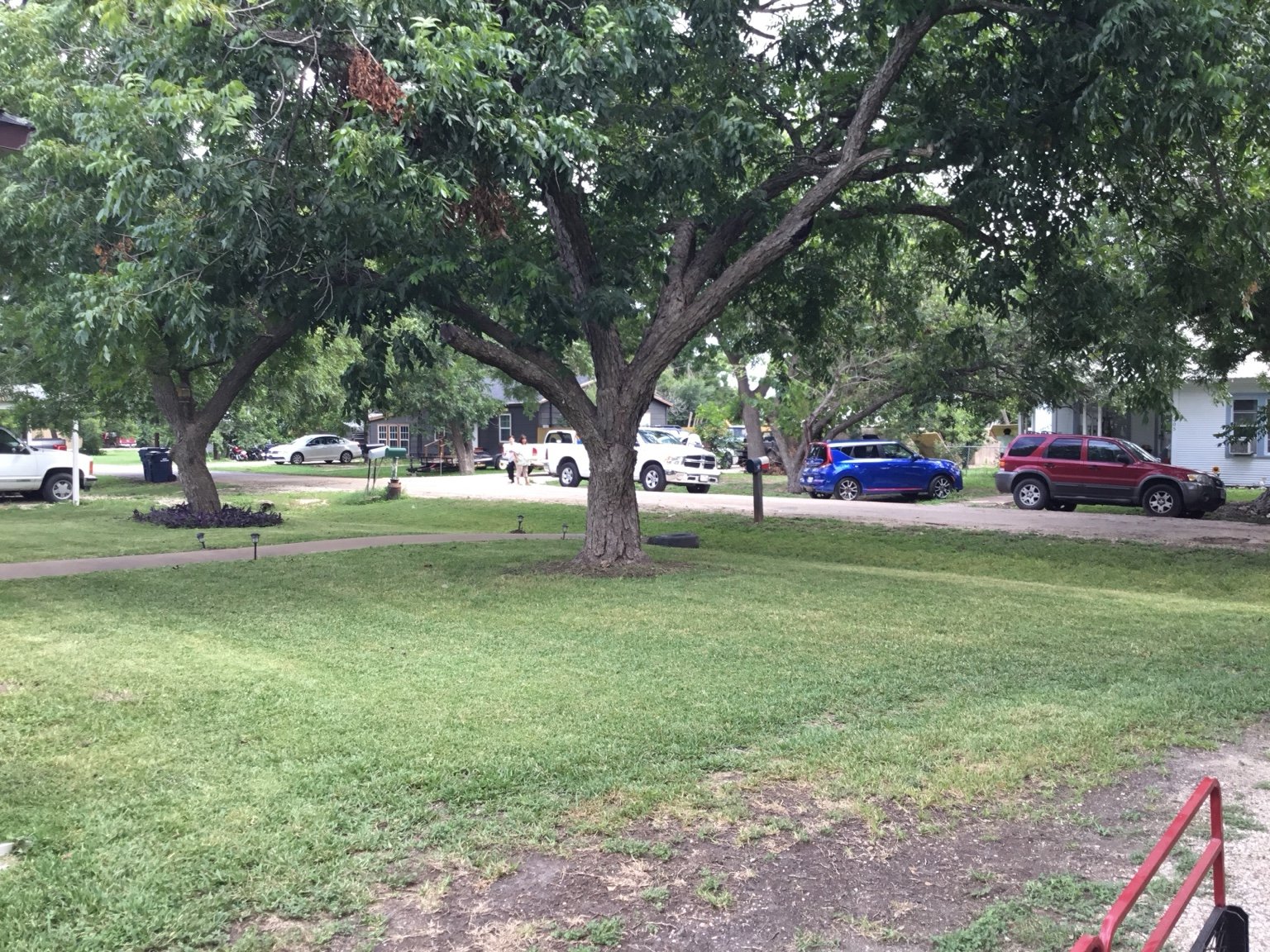 Shaded front lawn under mature trees