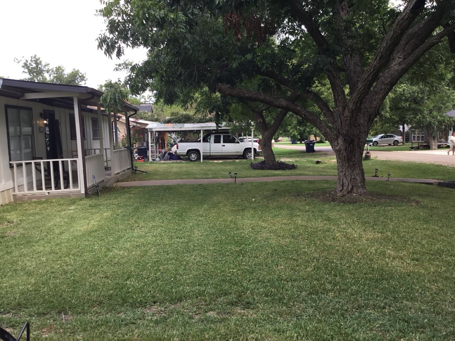 Close-up of mower cutting grass